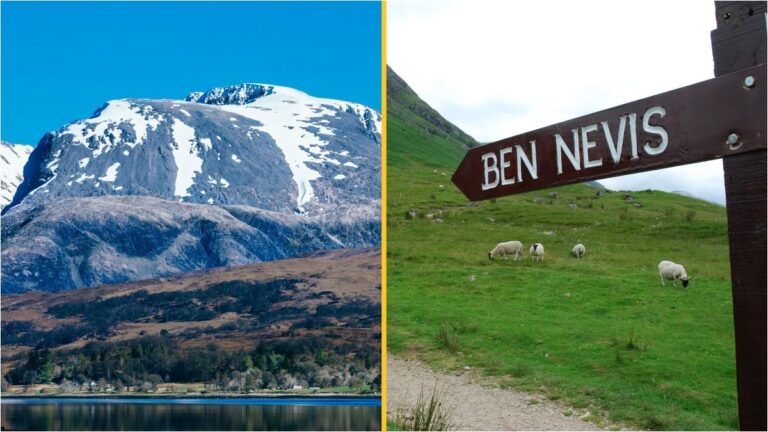 Tourists slam Ben Nevis as 'too high, lacks 4G signal and has no McDonald's'
