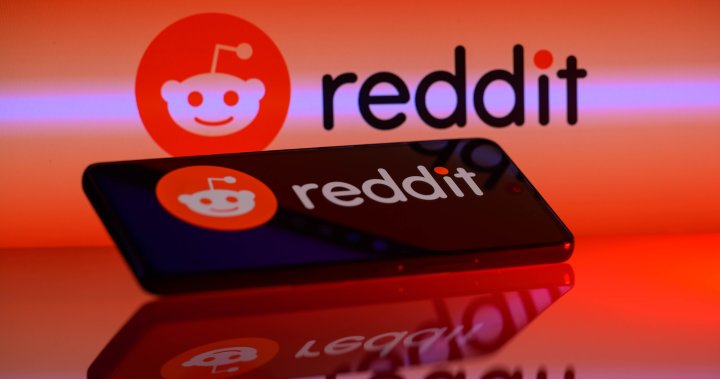 Reddit set for stock market debut after pricing IPO at top of range – National