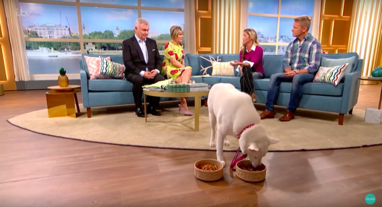 Woman who insisted her dog is vegan proved wrong on live TV