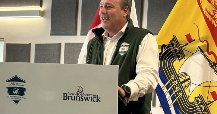 New Brunswick officials say province is ready for wildfire season – New Brunswick